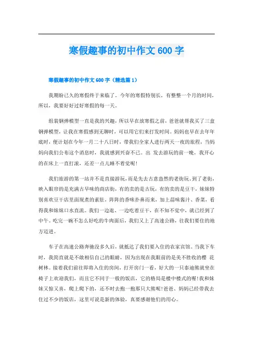 寒假趣事的初中作文600字