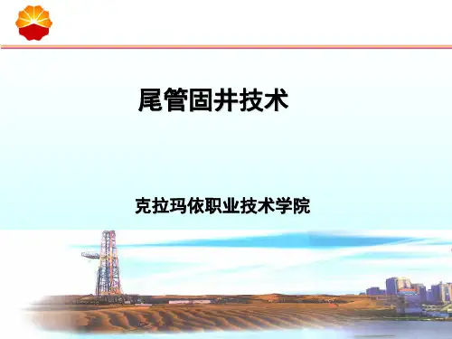 双级、尾管固井技术