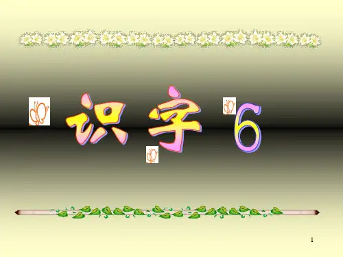 识字6课件PPT