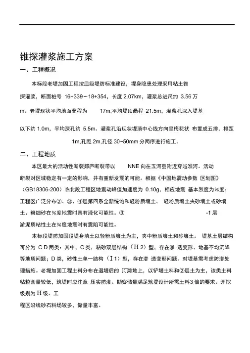 锥探灌浆施工方案(1)