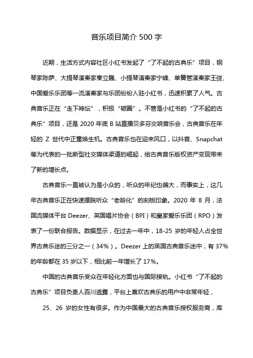 音乐项目简介500字