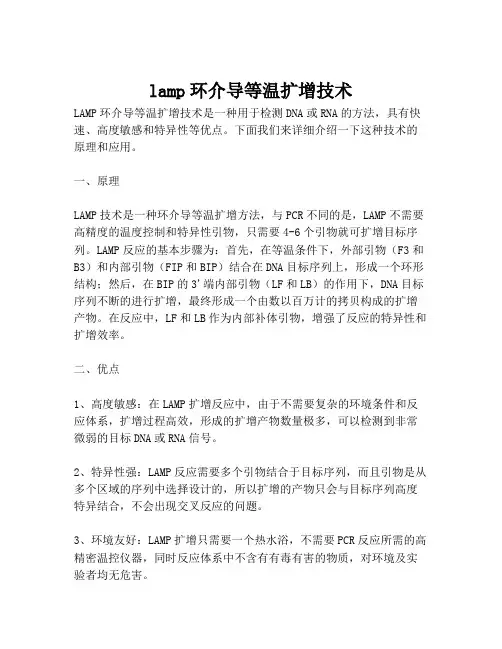 lamp环介导等温扩增技术