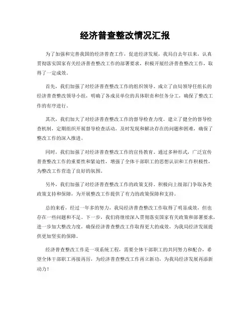 经济普查整改情况汇报