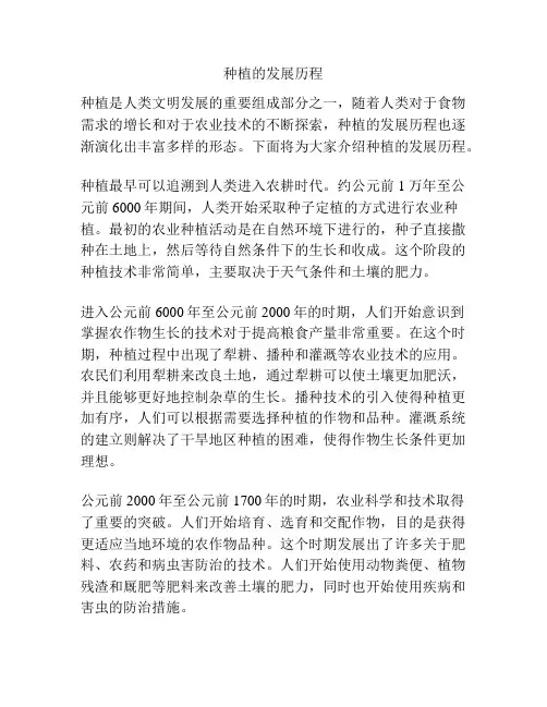 种植的发展历程