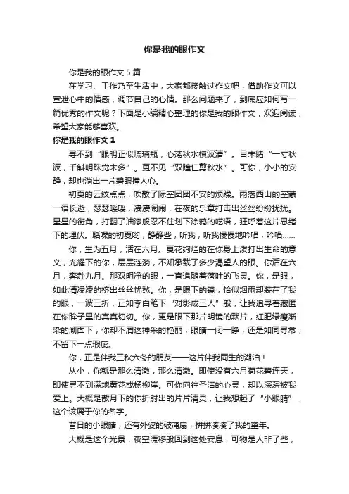 你是我的眼作文5篇