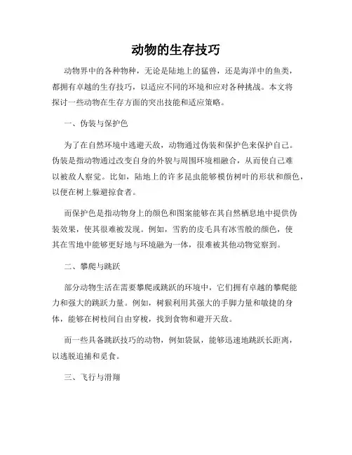 动物的生存技巧