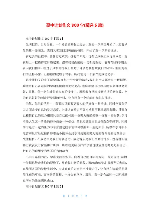 高中计划作文800字(精选5篇)
