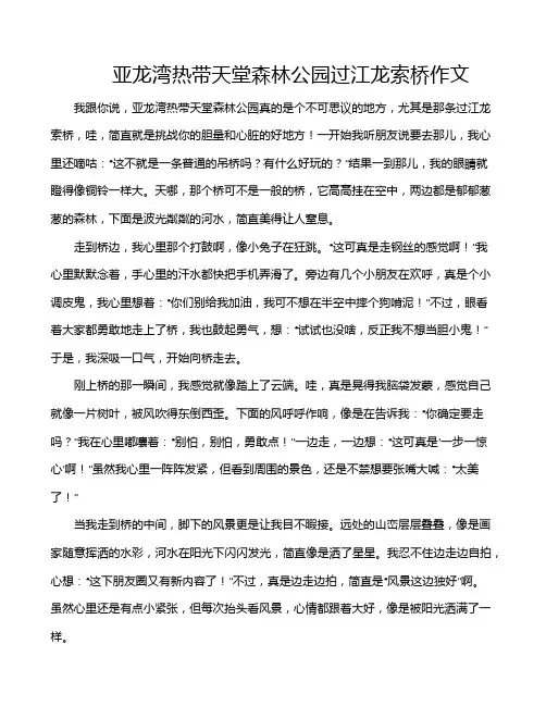 亚龙湾热带天堂森林公园过江龙索桥作文