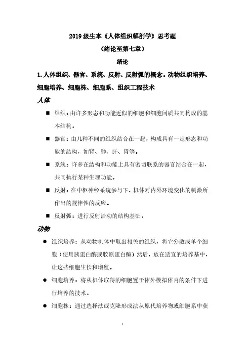 人体解剖学思考题