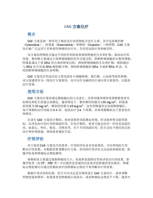 cag方案化疗