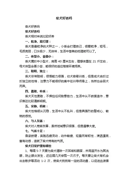 柴犬好养吗