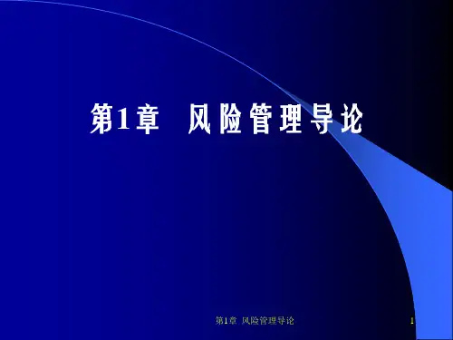 第1章 风险管理导论PPT课件
