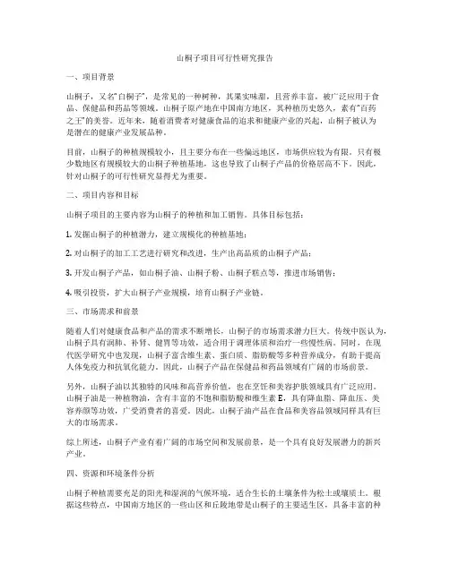 山桐子项目可行性研究报告