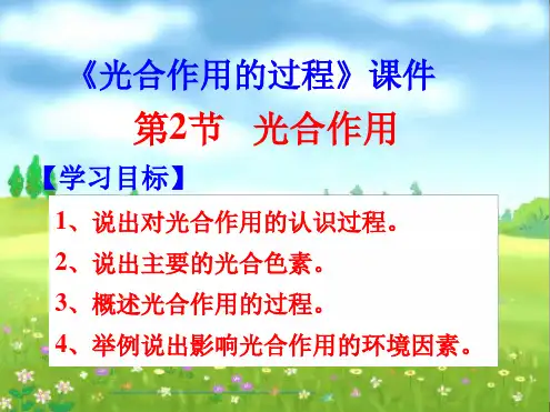 苏教版高中生物必修1课件光合作用的过程课件1