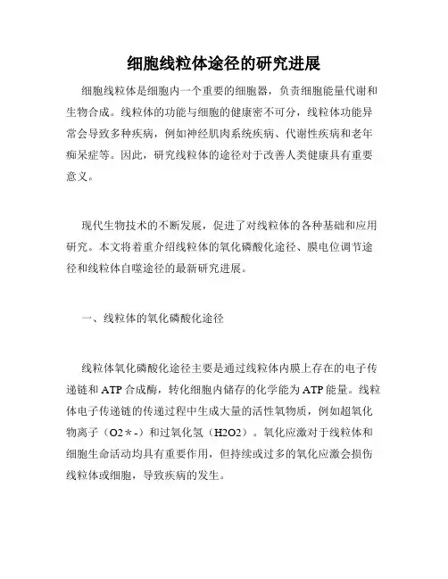 细胞线粒体途径的研究进展
