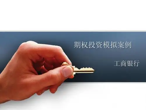 期权模拟案例