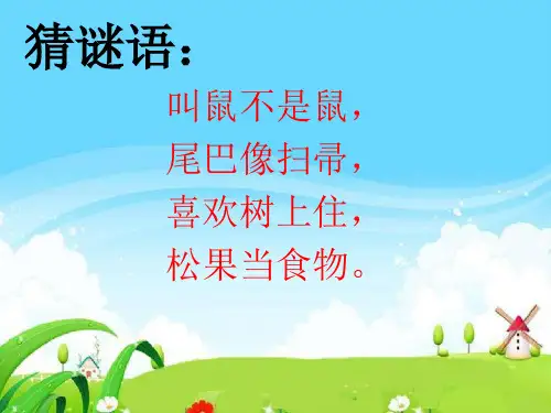 《跑进家来的松鼠》ppt课件(完美版)