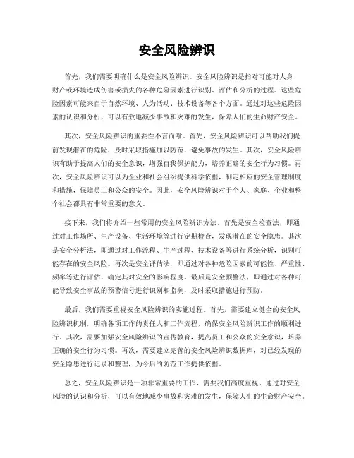 安全风险辨识