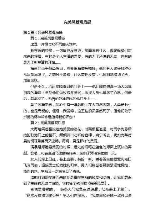 完美风暴观后感