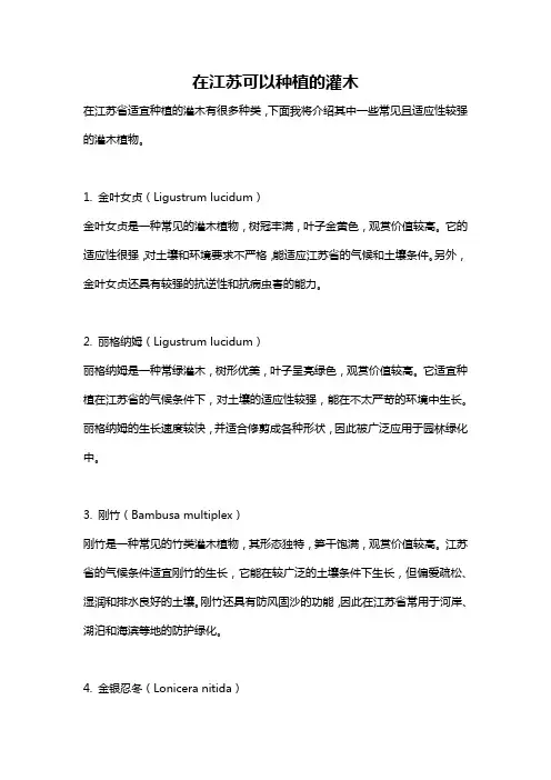 在江苏可以种植的灌木