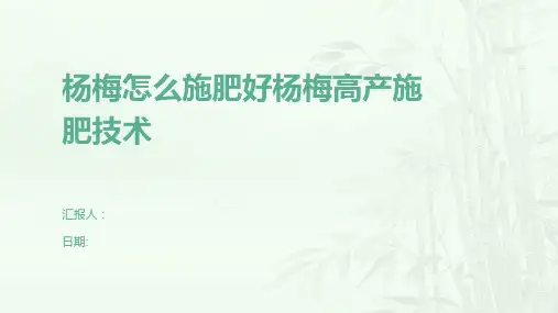 杨梅怎么施肥好杨梅高产施肥技术