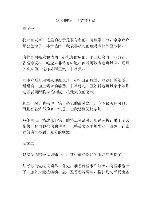 家乡的粽子作文共五篇