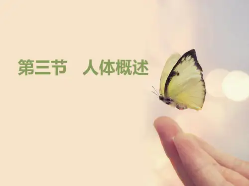 《人体概述》PPT课件【精选推荐课件】