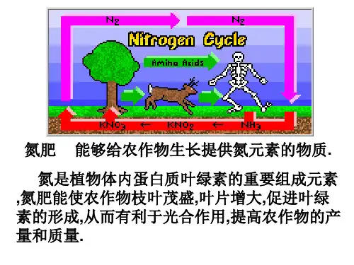高一化学氮及其化合物ppt课件.ppt