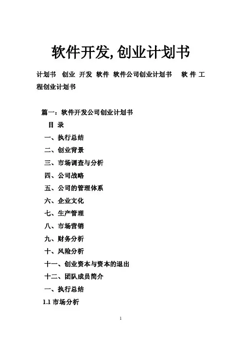 软件开发,创业计划书