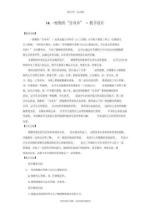 青岛版《科学》六制五年级下册14《植物的“分身术”》教学设计