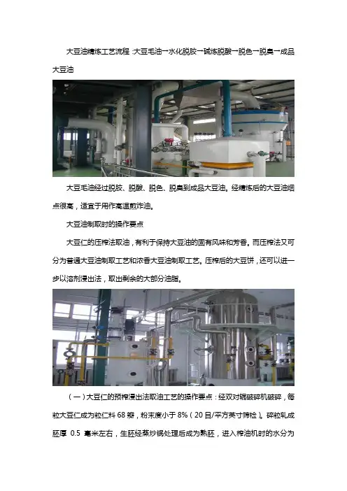 大豆油精炼设备工艺及要点