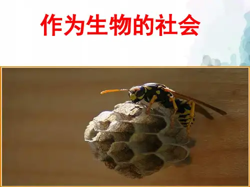 人教新课标版语文高二必修五第四单元第12课作为生物的社会 