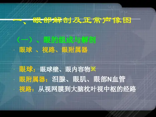 眼部超声检查
