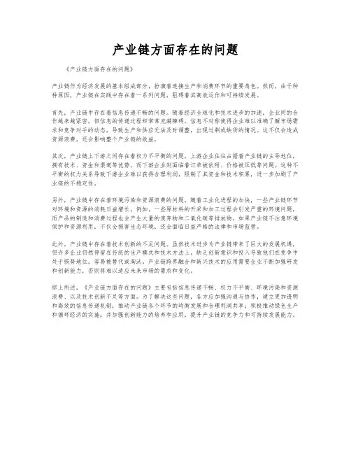 产业链方面存在的问题