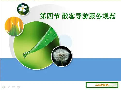 散客导游服务规范