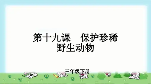 《保护珍稀野生动物》示范公开课教学PPT课件【小学三年级美术下册】