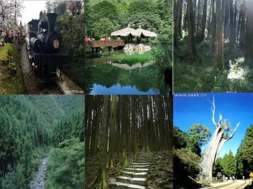 阿里山纪行课件