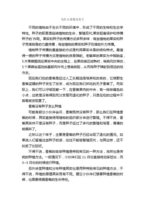 为什么香蕉没有子