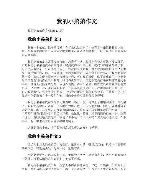 我的小弟弟作文