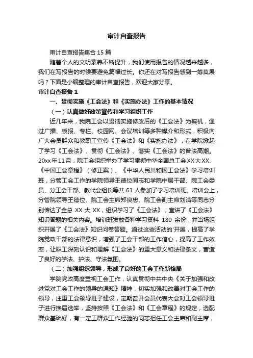 审计自查报告