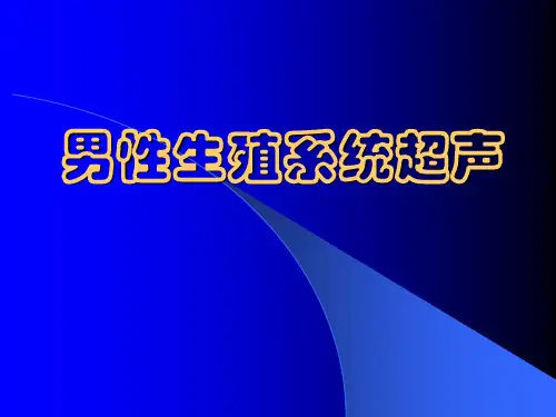 男性生殖系统超声(1)