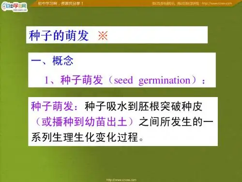 《种子的萌发》课件