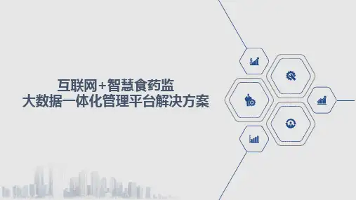 互联网+智慧食药监大数据一体化管理平台解决方案(智慧食药监整体解决方案)