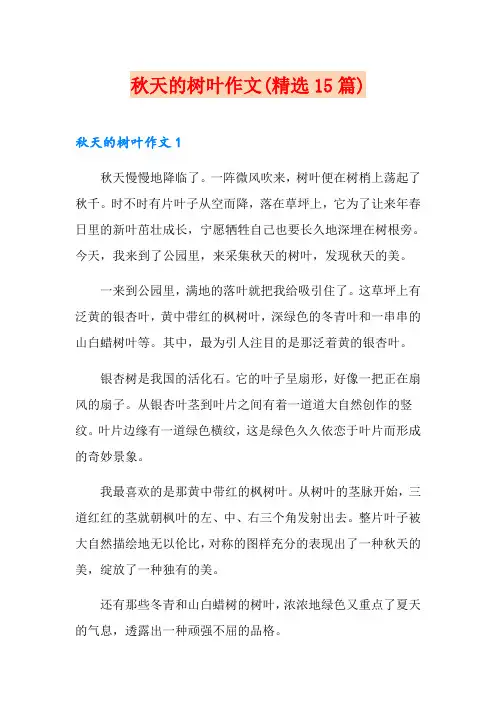 秋天的树叶作文(精选15篇)