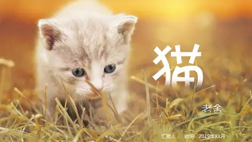 猫语文课文知识讲解PPT模板课件