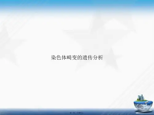 染色体畸变的遗传分析讲课文档