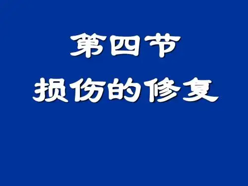 损伤的修复