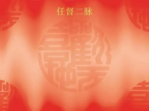 中医经络任督二脉