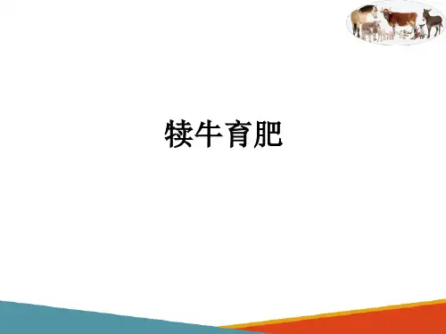 牛羊生产—肉牛饲养管理(动物生产技术课件)