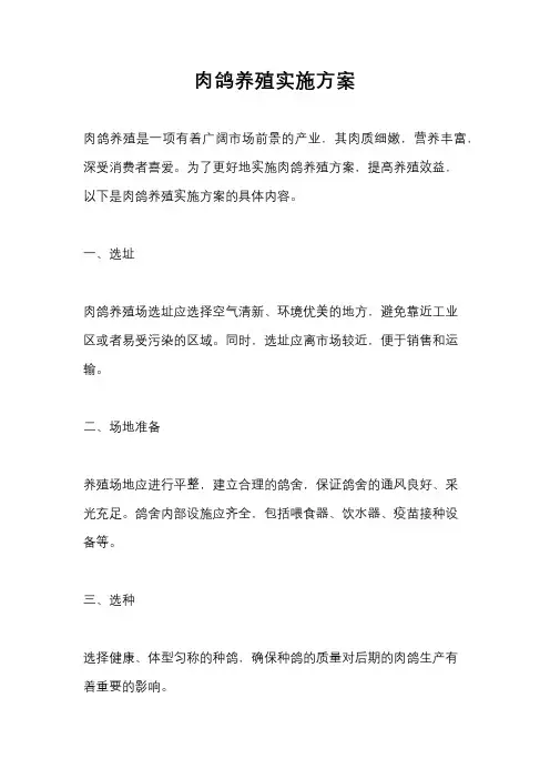 肉鸽养殖实施方案
